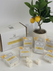 Wax Melts - Spring & Summer Fragrances 6 pack
