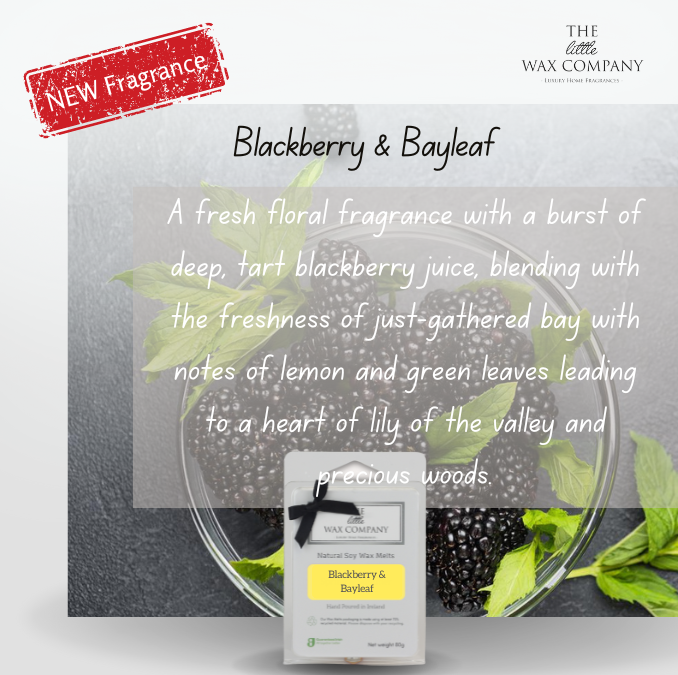 Wax Melts Spring & Summer Fragrances The Little Wax Company