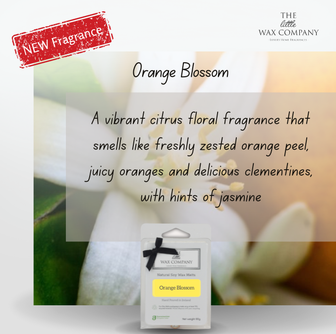 Wax Melts Spring & Summer Fragrances The Little Wax Company